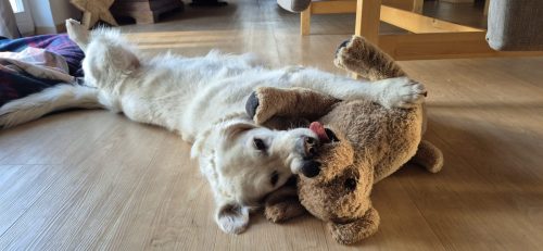 Luna & Bailey